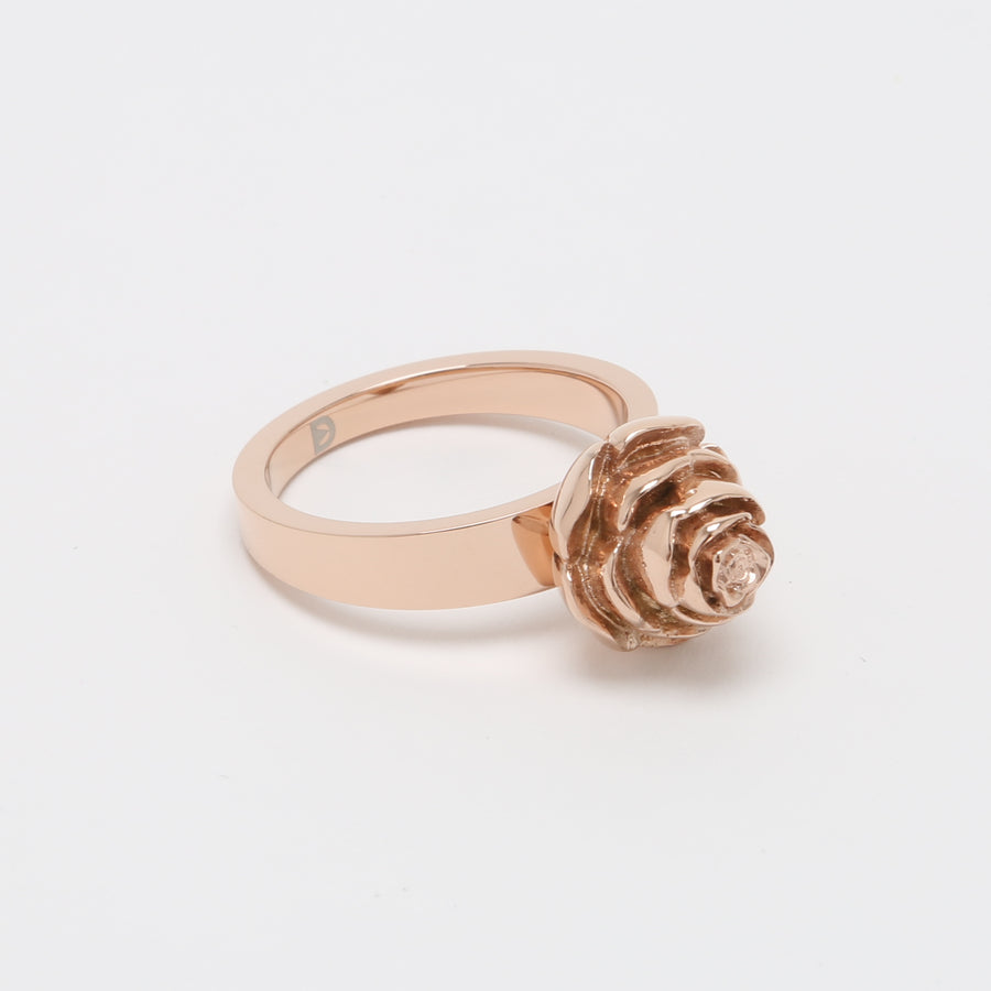 Rose X/Z